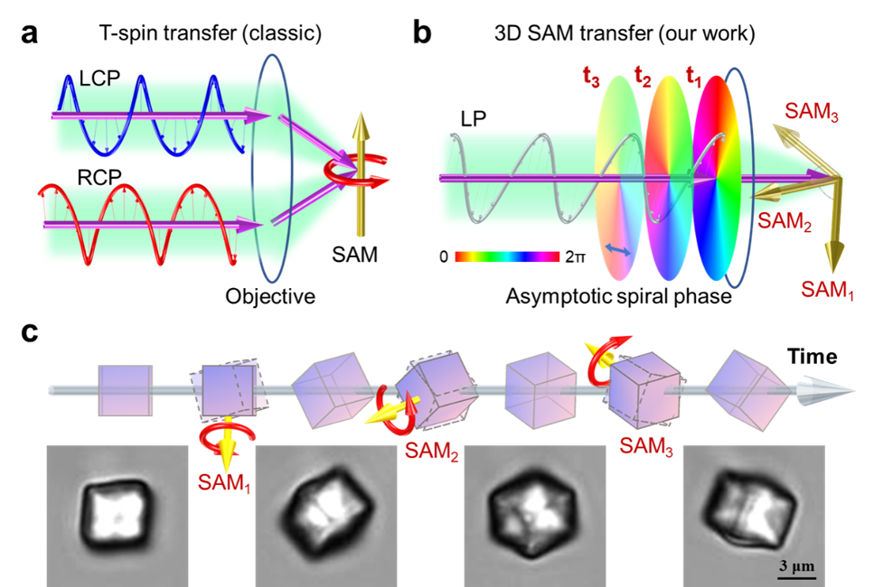 f86e7b7cc72608e6af759c09121808be